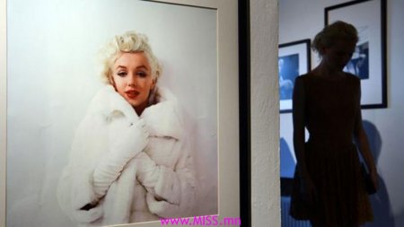 Мэрилин Монрогийн зургуудыг дуудлага худалдаанд оруулжээ 
