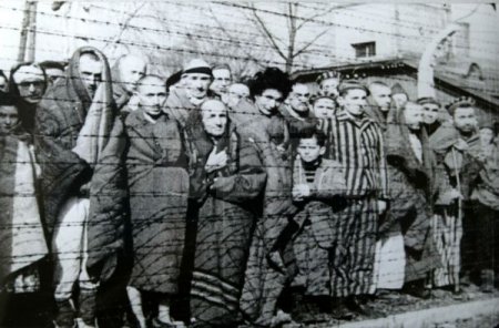 Унгарт нацистууд цыган иргэдийг хядсаны 70 жилийн ойг дурсан хөшөө босгов
