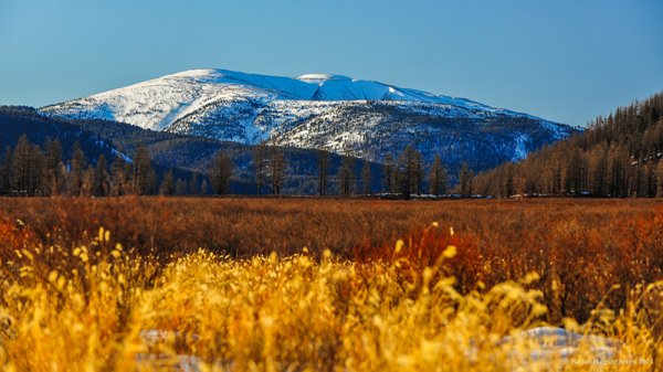 Америкийн телевиз Чингисийн онгоныг хайх зөвшөөрөл авсан уу? 