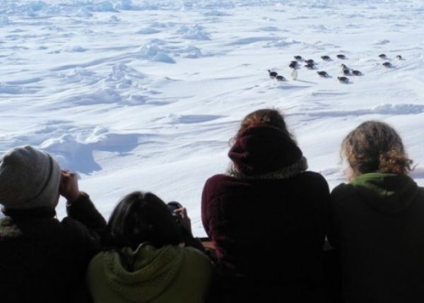 Эмэгтэйчүүдээс бүрдсэн хамгийн том экспедиц Антарктидыг зорино