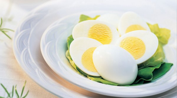 Чанасан өндөг ашиглан хурдан турах 14 хоногийн дэглэм