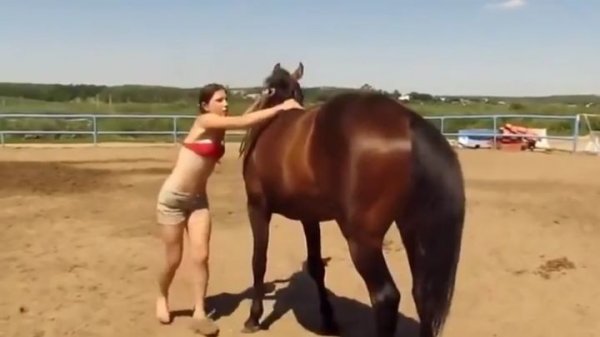 Мордож чадахгүй байгаа бүтэлгүй охинд морь өөрөө тусалжээ /бичлэг, хөгжилтэй/