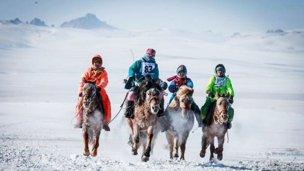 Хүүхдийн амины үнэтэй зэрлэг цэнгэлийг зогсоох аргагүй гэж үү!