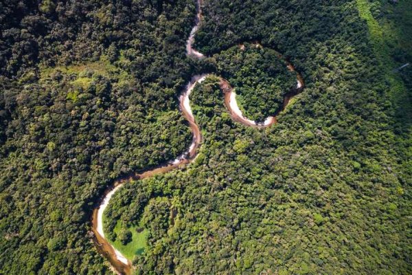Амазоны ойг хамгаалах асуудлаар уулзалт хийнэ