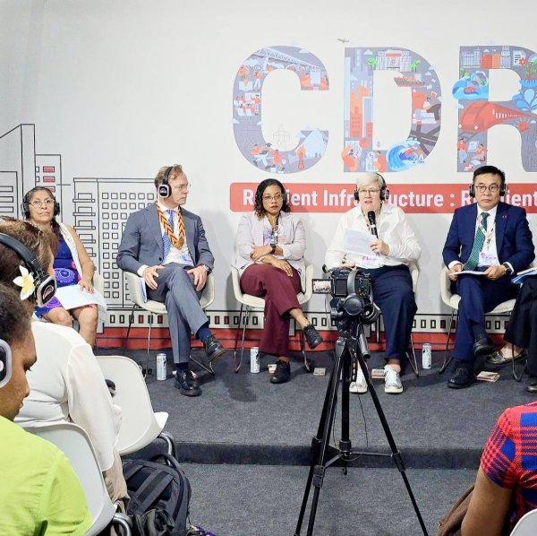 COP30:  Б.БАТБААТАР САЙД "ДЭЛХИЙН ДЭД БҮТЦИЙН ТОГТВОРТОЙ БАЙДЛЫН ТАЙЛАН-2025" НЭЭЛТТЭЙ ХУРАЛДААНД ИЛТГЭЛ ТАВИЛАА